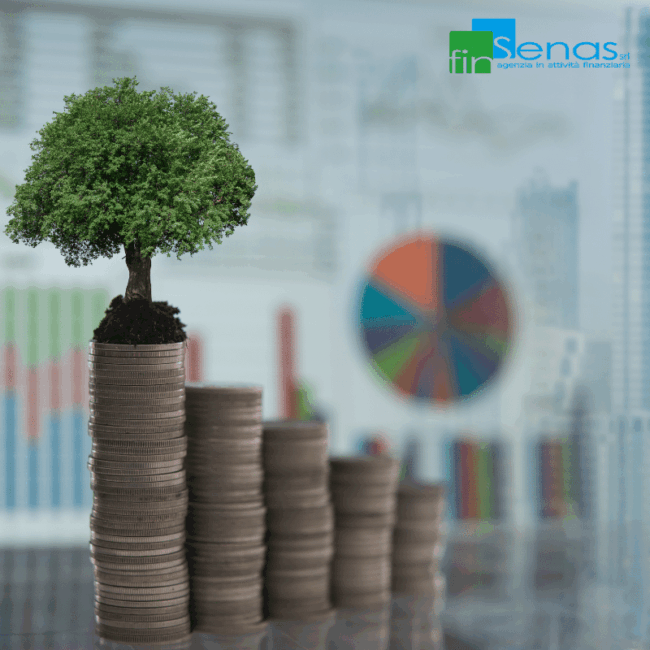 Finanziamenti per imprese i 7 errori che bloccano l’approvazione (e come evitarli) Albero che cresce sopra pile di monete disposte in modo crescente, simbolo di crescita economica e sostenibilità finanziaria